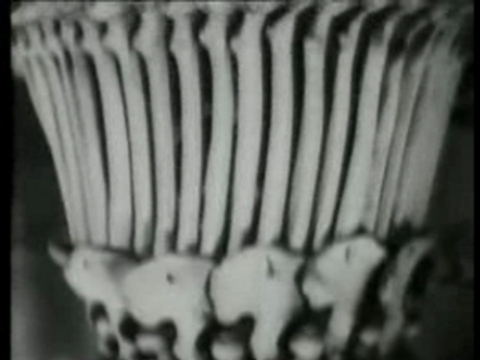 "the ossuary" jan svankmajer