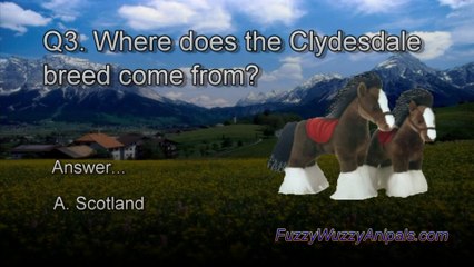 Clydesdale Animal Quiz