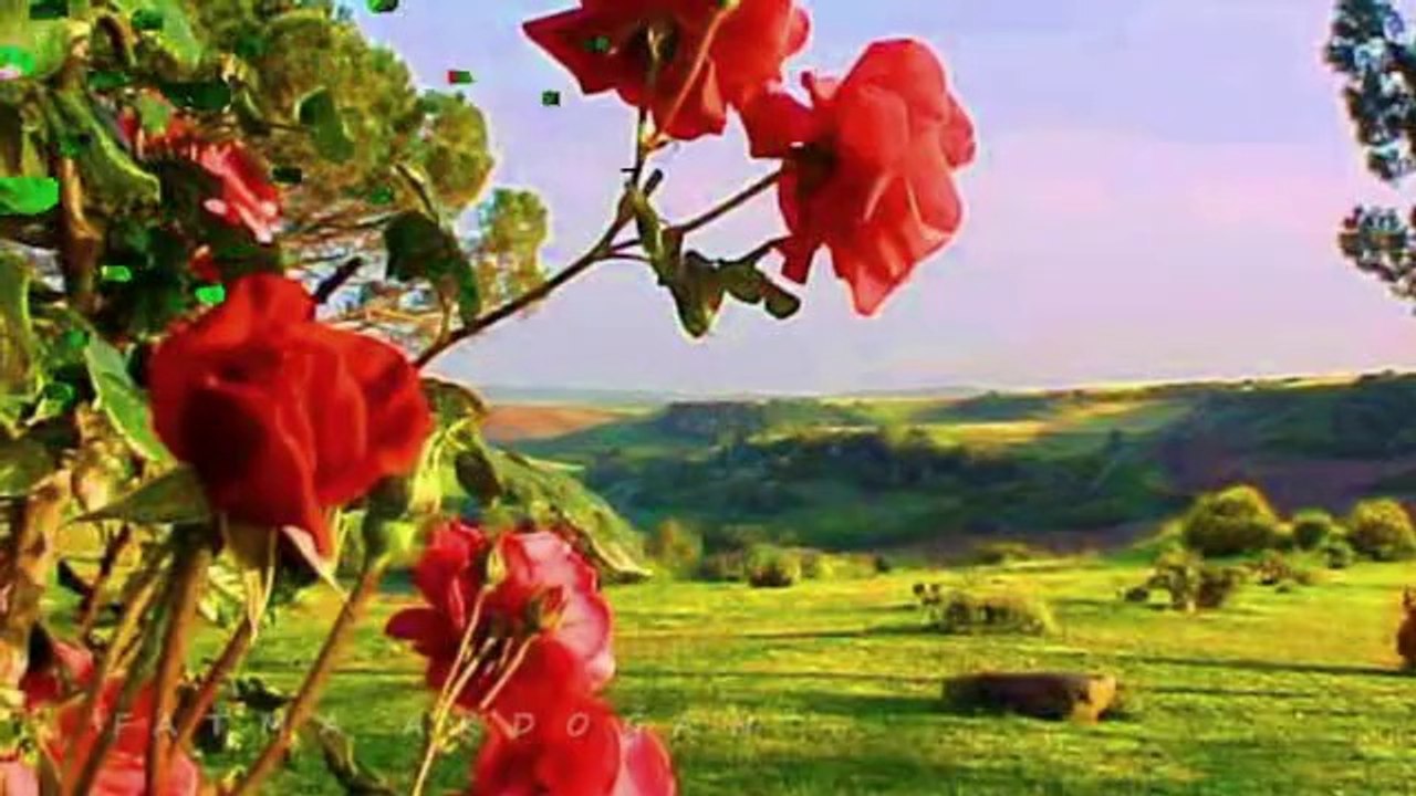 MELAHAT GÜLSES-GÜNAYDINIM NAR ÇİÇEĞİM SEVDİĞİM