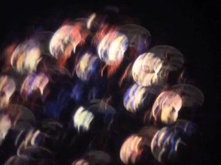 "L'Agonie des arabesques" (2014) de Gérard Courant