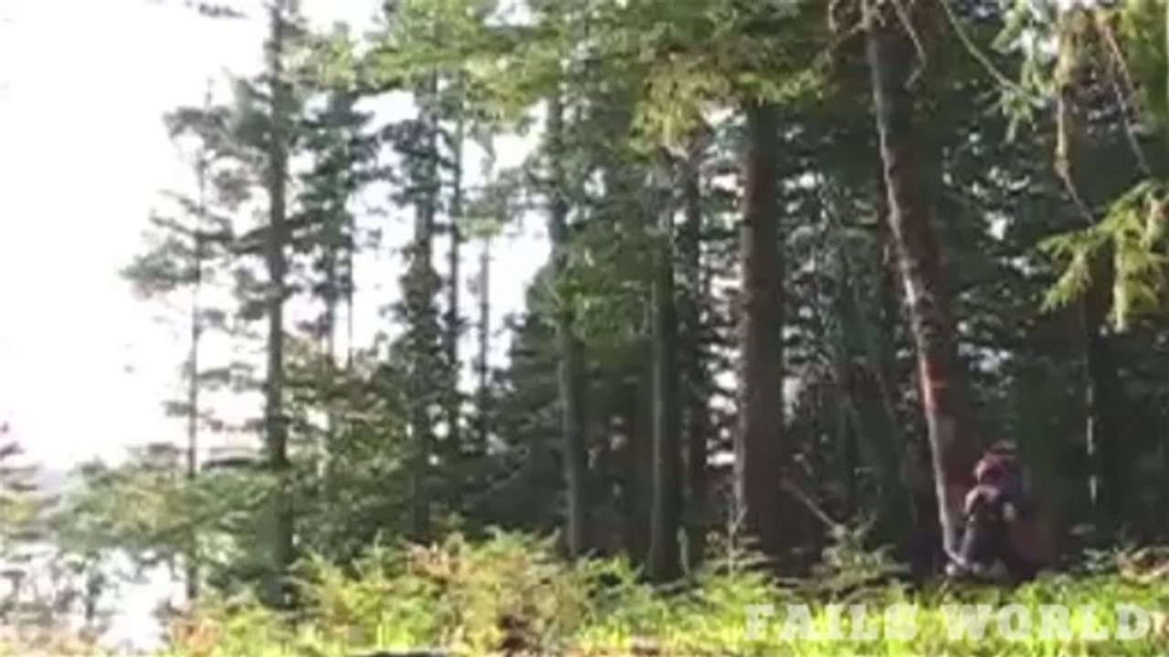 cutting a tree fail - Fails World
