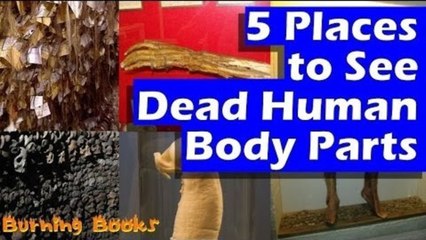5 Places to See Dead Human Body Parts