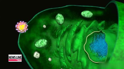 Korean research team finds substance that blocks HIV infection