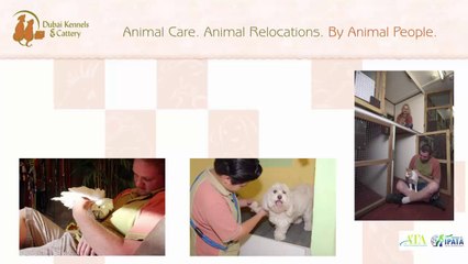 Dubai's Complete And Trusted Pet Care And Vet Services Provider