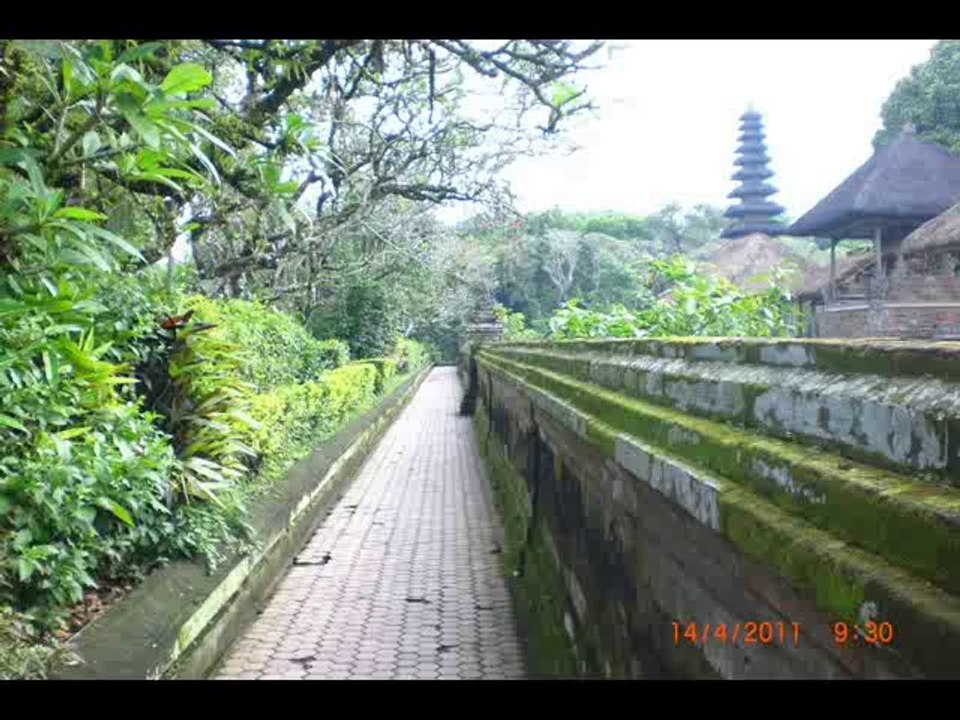 Bali Driver Guide