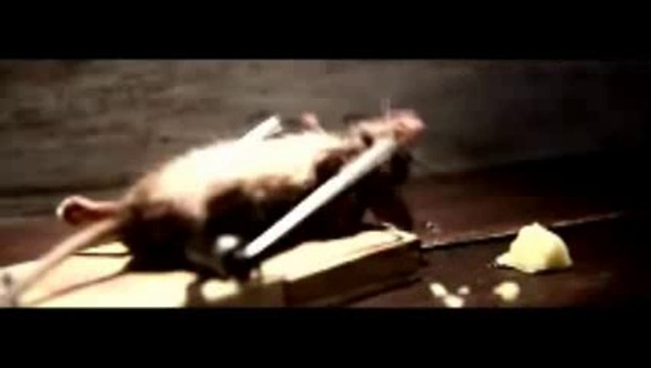 Nolan's Cheddar Commercial Mouse