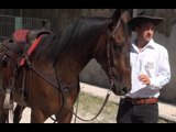 Succivo (CE) - Festa del Cavallo (20.07.14)