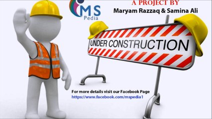 What is MSPEDIA? Overview and Insights