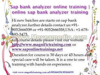 sap bank analyzer online training remote server access