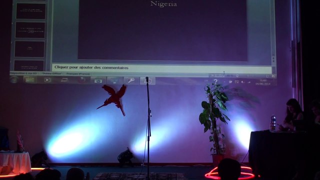 Coupe Du Monde 2014 - 1ère Demi-Finale - Ikenna (Canada) - 2éme Tour - Nigéria