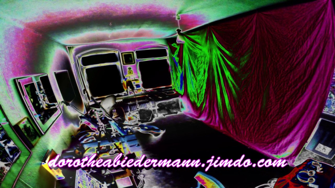 Dorothea biedermann, unsinn