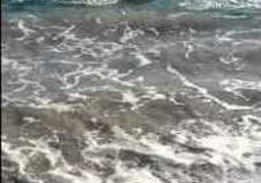 Shark Bites Off More Than It Can Chew