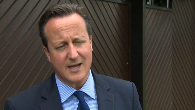David Cameron: Pressure mounting on Putin over flight MH17