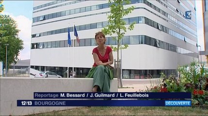 CAUE 21 - Histoire de l'architecture, Dijon depuis l'an 1000