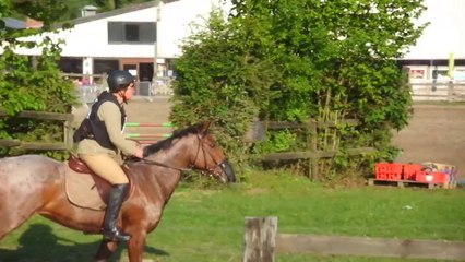 Tim-Tam - Concours complet - Marchin 2014