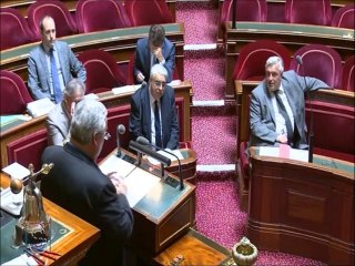 Intervention de René Vandierendonck sur les ouvrages d'arts
