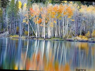 MUSA EROĞLU-GİTME TURNAM