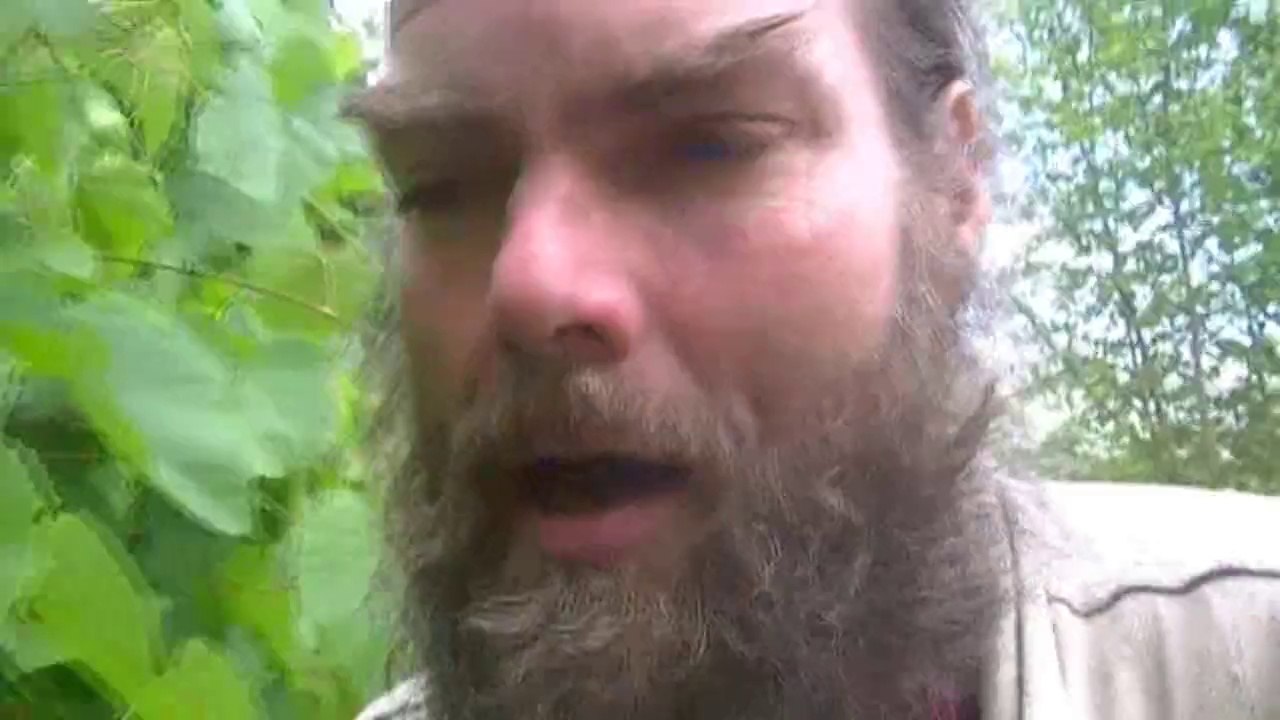 0099 On my way . . .