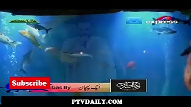 Pakistan Ramzan Iftar with Aamir Liaqat on Express Ent - 21st July 2014 - Part 1