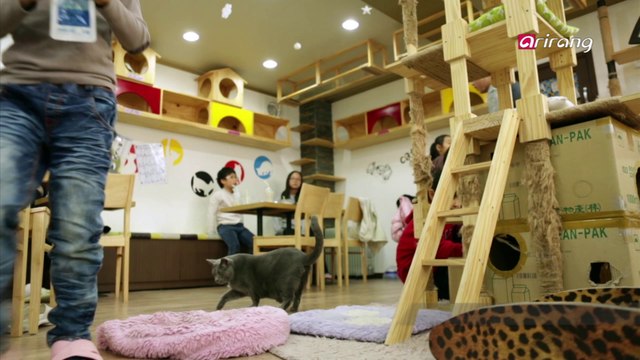 Semipermanent Ep15 Paws and Claws