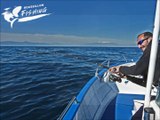 Stage de perfectionnement à la pêche sportive du thon rouge au lancer