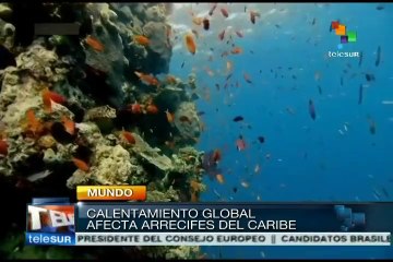 Arrecifes de coral en el Caribe podrían desaparacer, alerta ONU