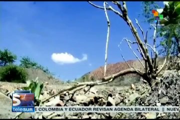 Investigan deforestación en la Sierra de Perijá, Venezuela