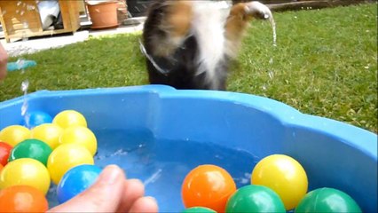 June - évolution 5 mois