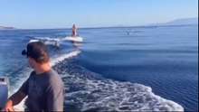 Dangeres wather ski Girl white dolphines