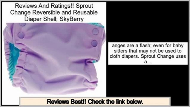 Efficient Sprout Change Reversible and Reusable Diaper Shell; SkyBerry
