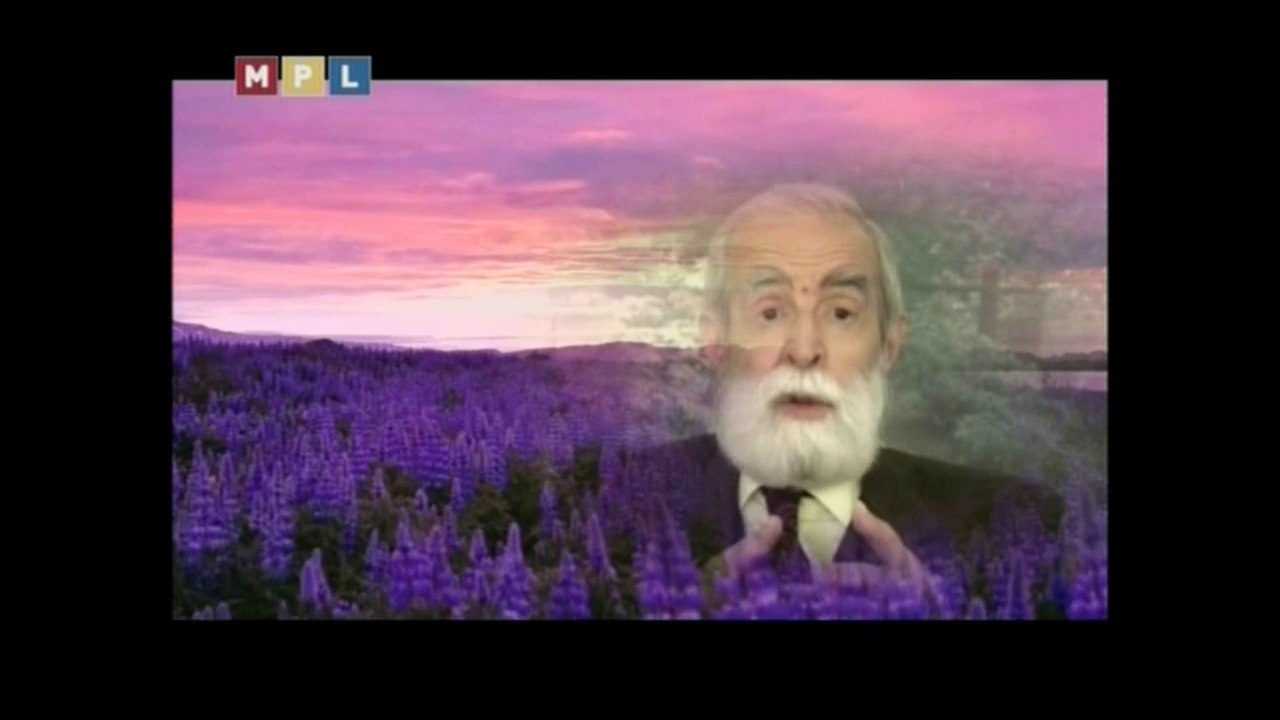 ALLÂHU TEÂLÂ, HEPİNİZİN, SÂDECE MUTLU OLMASINI İSTİYOR.