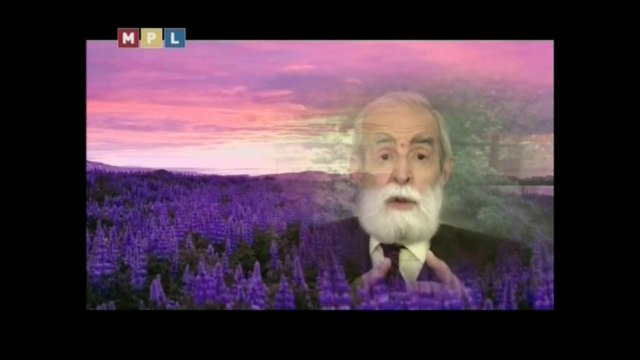 ALLÂHU TEÂLÂ, HEPİNİZİN, SÂDECE MUTLU OLMASINI İSTİYOR.