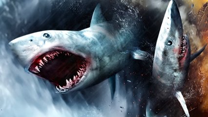 Odds of Getting Attacked By a Shark