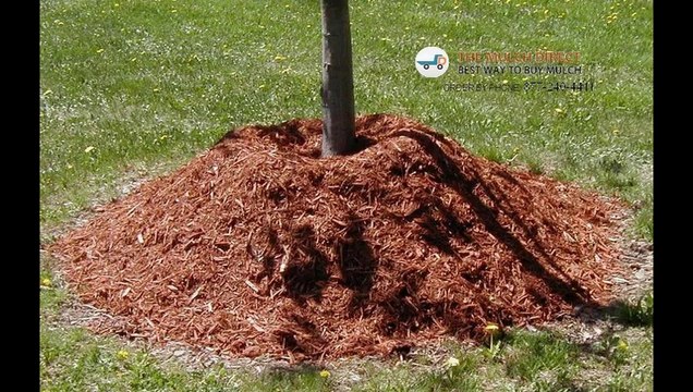 Bark Mulch -The Mulch Direct