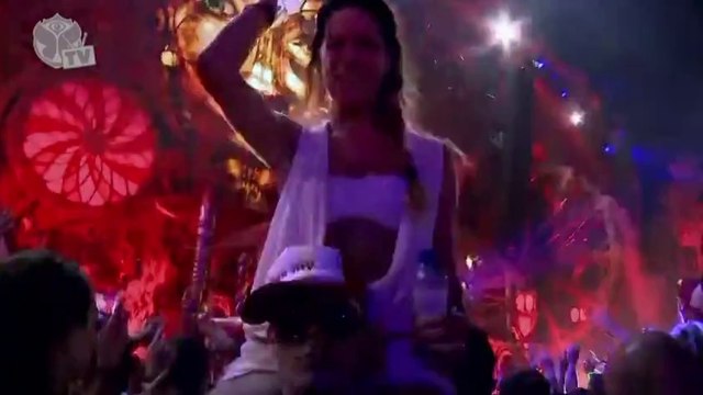 Tomorrowland 2014 Dimitri Vegas & Like Mike Part 2