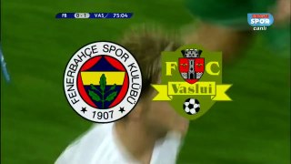 Antal'ın Fenerbahçe'ye golü