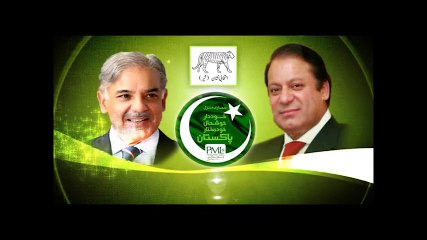 Citizen from KPK Expressing his Feelings about PML-N