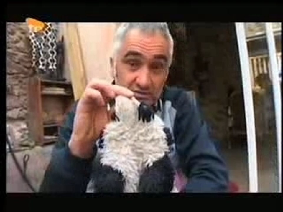 Stéphane Hubert à juste pour rire