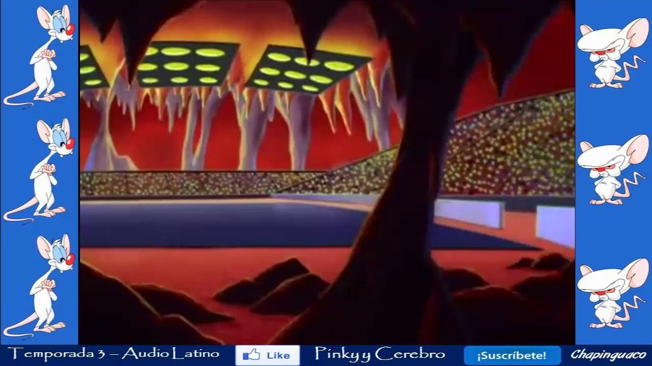 Pinky y Cerebro Capitulo 42