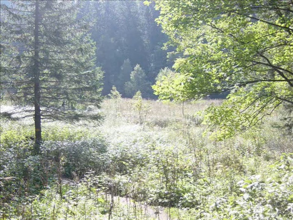 Combe grède