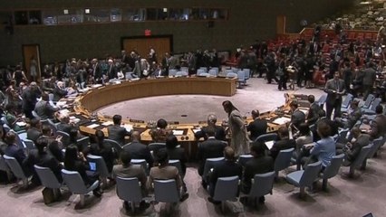 U.N. Security Council demands access to Ukraine plane crash site