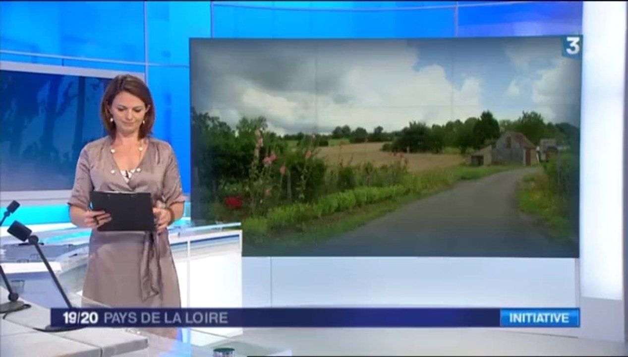 JT Pays de la Loire -  France 3 du 21/07/2014 - Bourse au permis de conduire