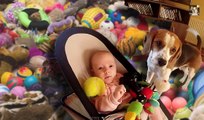 Funny Dog Buries This Baby In Dog Toys! | What's Trending Now