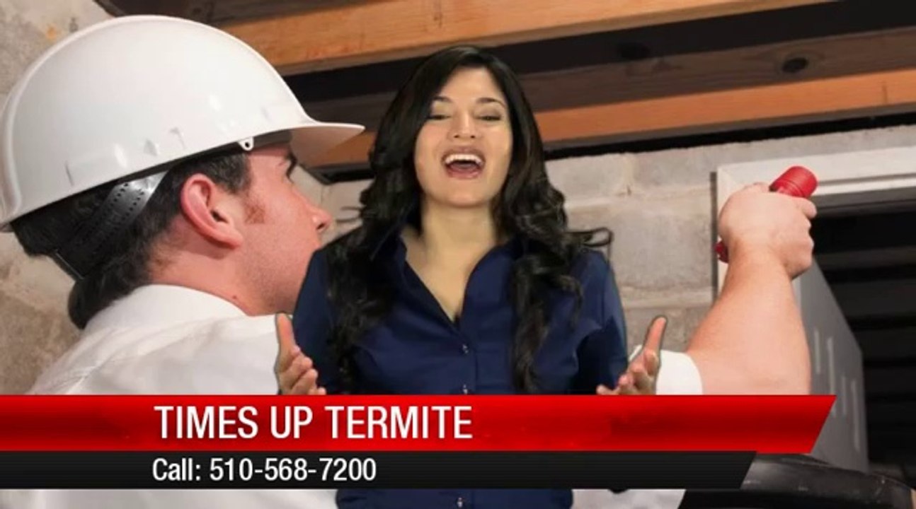 Times Up Termite San Leandro Superb 5 Star Review by Carol S