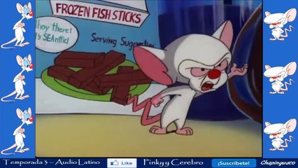 Pinky y Cerebro Capitulo 44