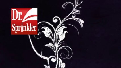 Dr. Sprinkler Repair LLC - (702) 550-2225 - Spring Valley, NV