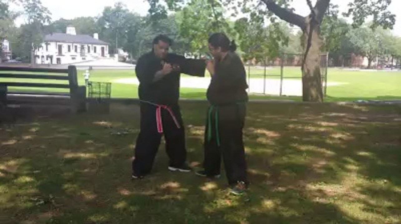 Shishikan demo