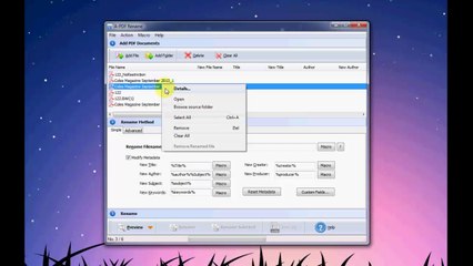 Helpful PDF Bulk Rename Utility to change filename as uniform