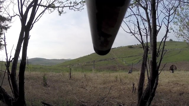 Turkey Hunting With a GoPro
