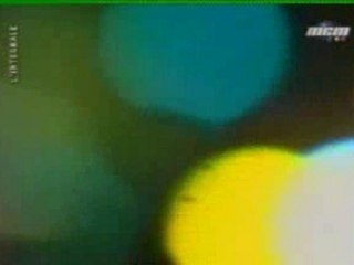 Noir Desir - Lolita Nie En Bloc